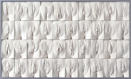 rikkisixx: The Great Wall of Vagina - Jamie McCartney (x)Jamie made molds of the vaginas of women between 18 and 76 years. Among others, they include twins and transgender women. Women are often confused about their vagina, because they think it looks