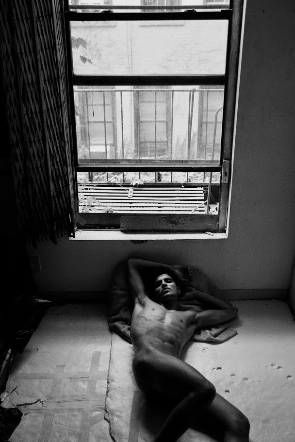that-window-in-harlem:  Fall 2014 … That Window in Harlem