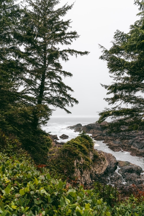 adm-kng: Ucluelet, British Columbia | instagram | prints