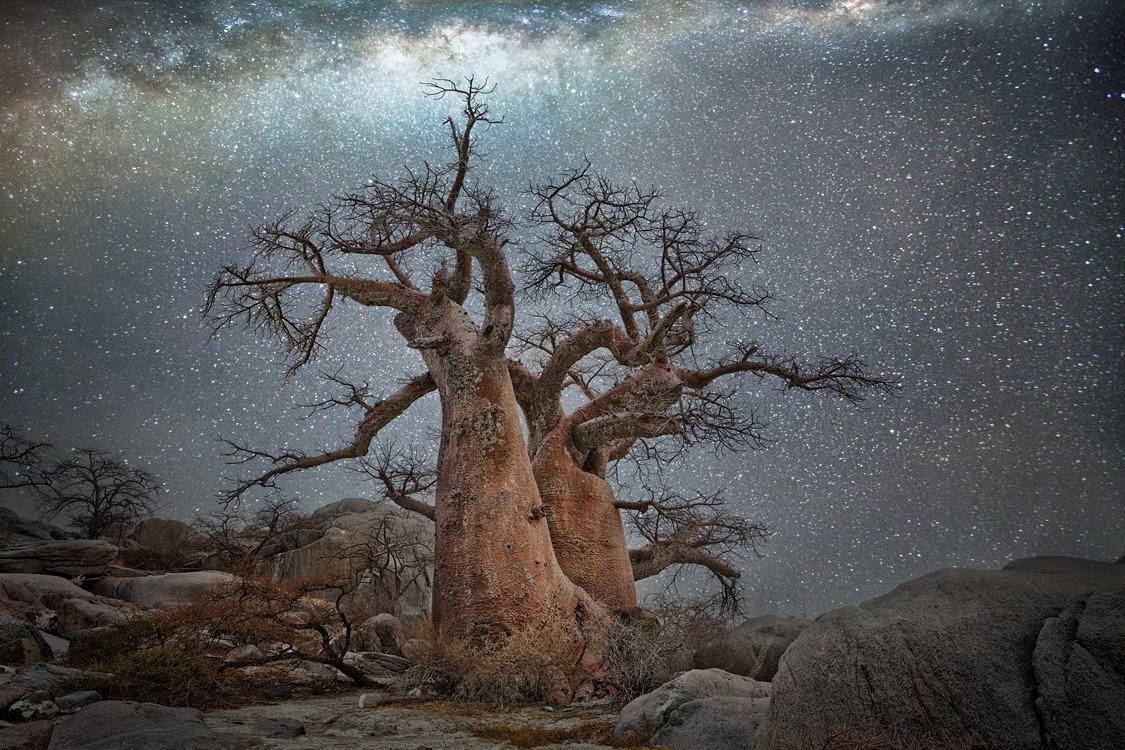 archatlas:  Diamond Nights Beth Moon 