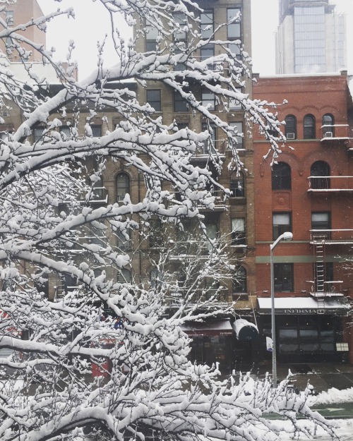 Manhattan-style snow day ❄️