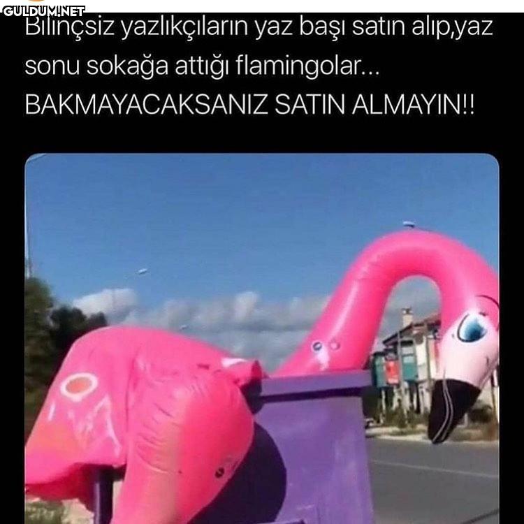 Satın alma sahiplen...