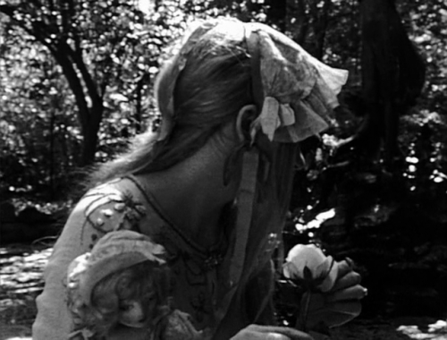 roserosette:Rest in Peace, 1991, Rachel Amodeo