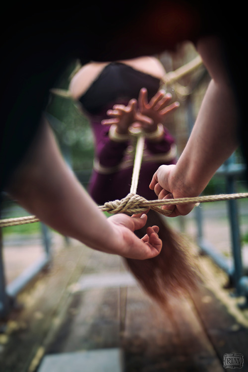 Sex ropesinmotion:  Ropes In Motion // Title: pictures