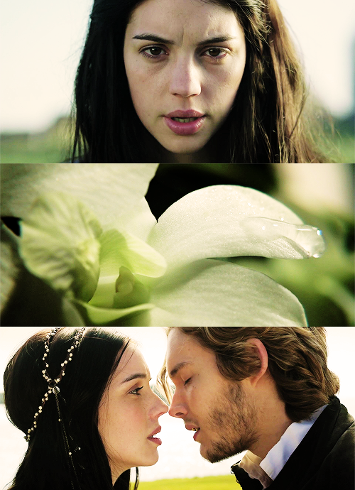 noaahczerny:  long may she reign 
