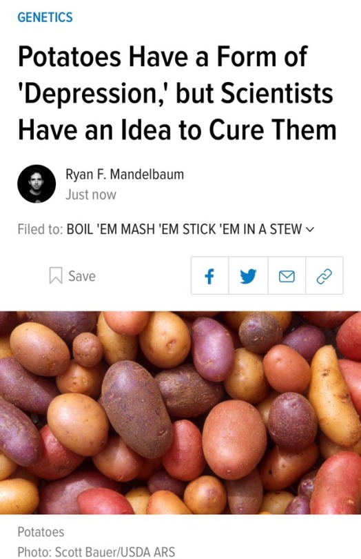 elphabaforpresidentofgallifrey:   It’s so bad out there even POTATOES have depression 