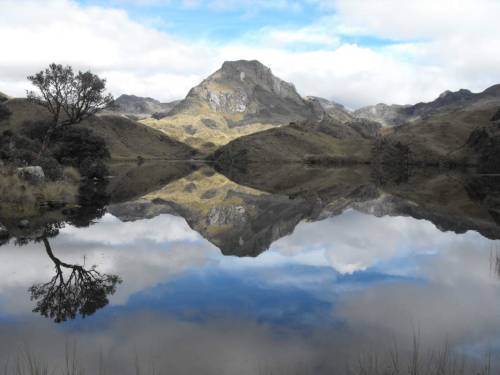 Fly fishing the Andes.