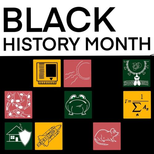 We’re super pump for the beginning of Black History Month! Every week we’ll be illustrating and high
