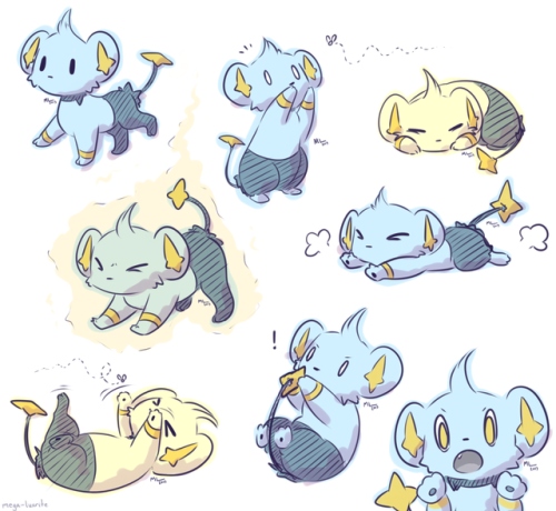 mega-luxrite:Shinx doodles! \o/(Commissions are open!)