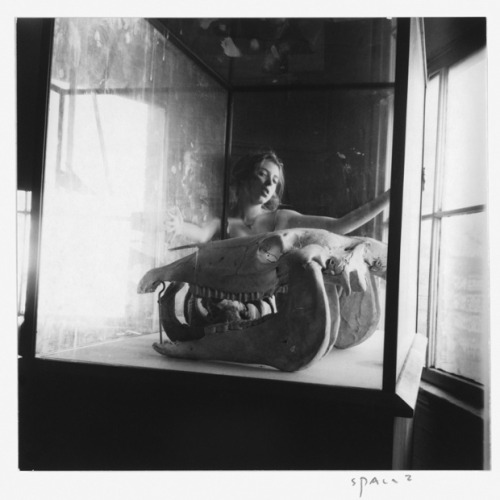 vivipiuomeno:  Francesca Woodman Space2, Providence, Rhode Island, 1975- 1976 