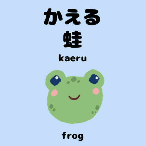 Vocabulary Word 18 :かえる蛙kaerufrogInstagram @ happystudyblogI am back let me know what words you want