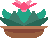 fat leaf succulent pixel