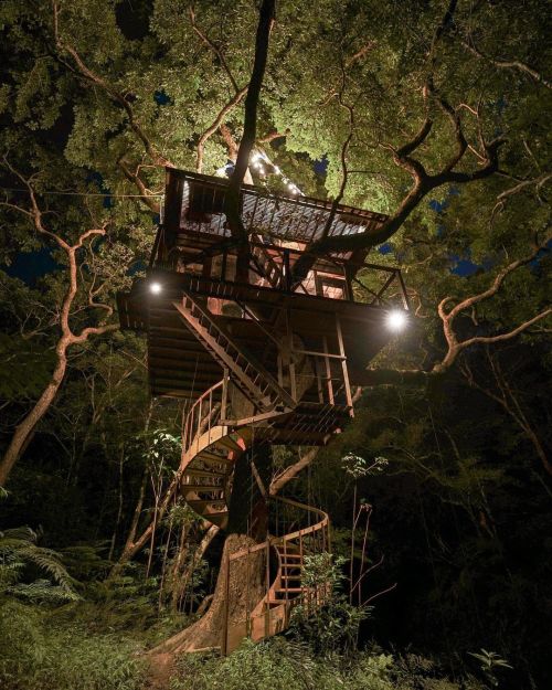 utwo:  Treeful Treehouse Sustainable Resort Nago Okinawa Japan© treeful treehouse