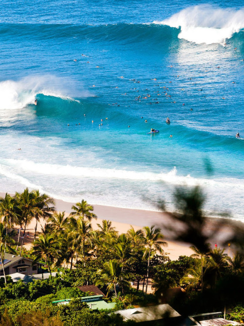 surfsouthafrica:  2014 Billabong Pipe Masters is about to commence. Gabriel Medina vs Kelly Slater v