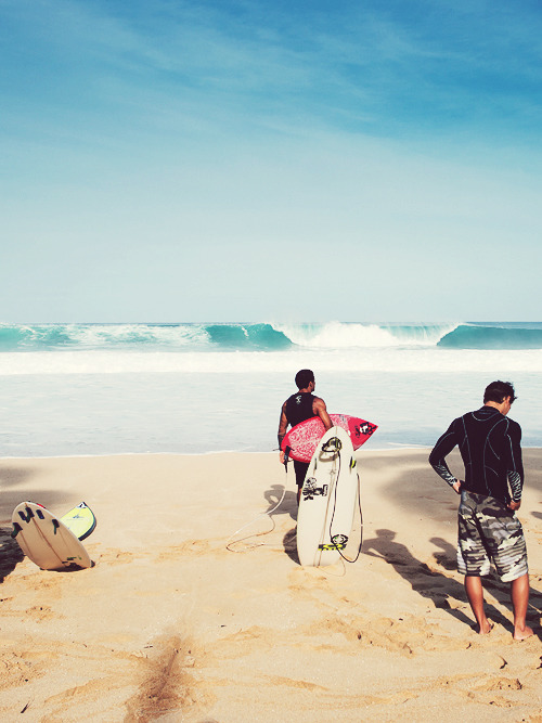 ssun&ndash;kissed: highenoughtoseethesea:  Kala Alexander, North Shore ph Corey Wilson