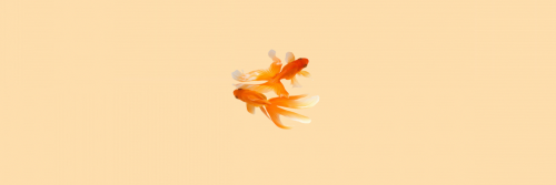 sitemodelsaesthetic: ✔ Headers  feita por @sitemodelsaesthetic​ ✔ se pegar credite//reblogue ✔ 