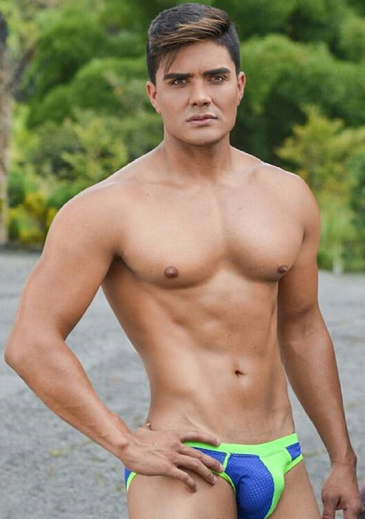 Dedicated Follower of Bulges