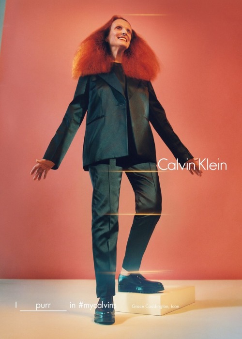 voguerunnway:  calvin klein a/w 2016 campaign starring Frank Ocean, Kate Moss, Zoë Kravitz, Bella Hadid & more.