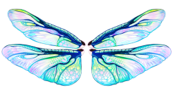 rrrushi: Insect wings are sooooo pretty I’m really happy with how this came out! 