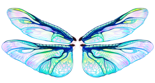 rrrushi:  Insect wings are sooooo prettyI’m really happy with how this came out!