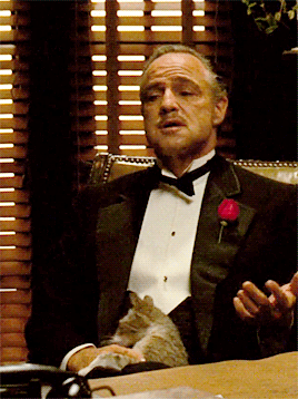 babeimgonnaleaveu:    “As Don Corleone calmly explains his idea of “friendship” to the undertaker Bonasera, the first nearly full-body shot of the don reveals an unexpected guest: a gray and white cat sitting in Marlon Brando’s lap. “The cat