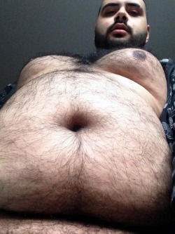 Bigbellyinyourface:  I’m Not Sure Which I Want To Dive Into First…His Hairy Tits