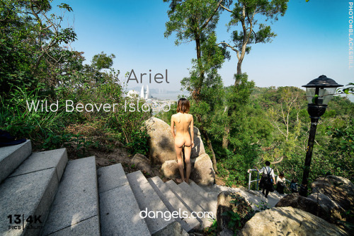 Ariel  Wild Beaver Island 官网订阅：dangels.comTwitter:https://twitter.com/DensTinonIns:https://www.insta