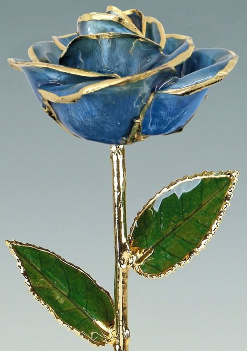 sosuperawesome: Real Preserved Roses Trimmed with Gold / Dipped in GoldLiving Gold Co on EtsySee our