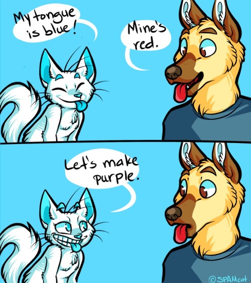 shadowfurry526:  lol the cat would be me XD