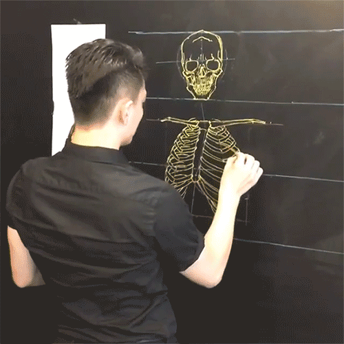 itscolossal:  Impermanent Anatomical Drawings on Chalkboards by Chuan-Bin Chung