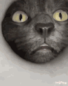 r0zeclawz:clownkiwi:r0zeclawz:beggining Snifftech research nowtop researchers of