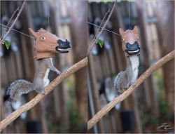 adorabaio:  this is a squirrel feeder and