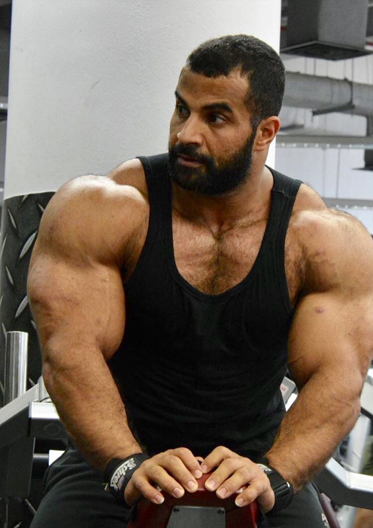 Ahmed Wardany