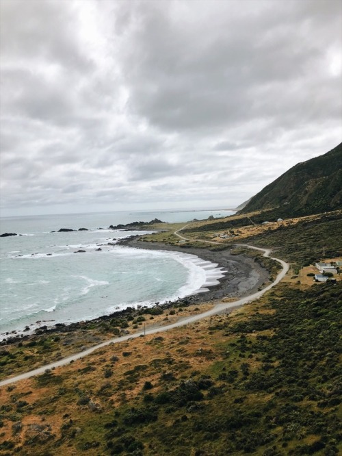 livefreeortour: Walking around a beautiful black sand beach in New Zealand. Cape Palliser.
