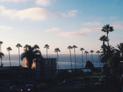 summerhigh:  California is my weakness 