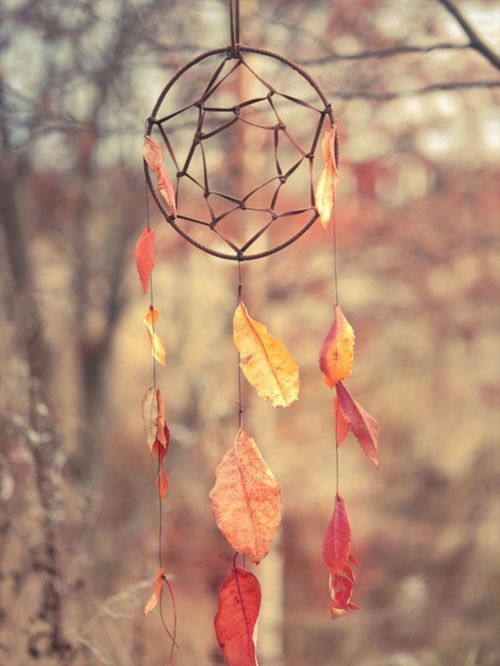 year round autumn & halloween