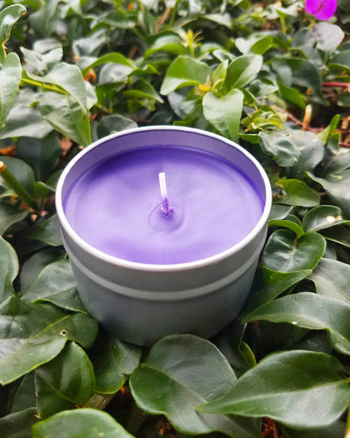 Scented Tin Candle //OlfactixCandles