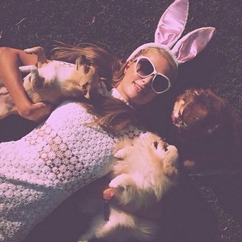 parishilton:  #EasterBunny 🐰