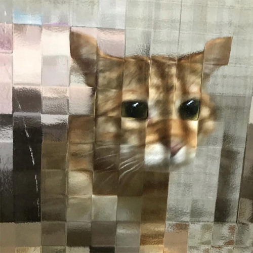 pixel cat