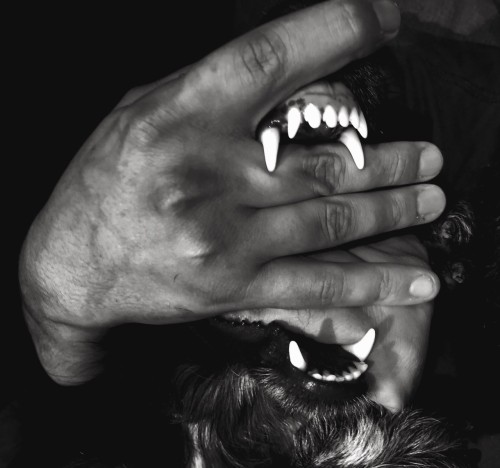[a close-cropped black and white photo of a dog's jaws, with a person's hands between its teeth to prevent it from biting down]  (source unknown)