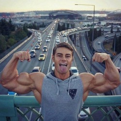 yourguy92:Impressive upper body bro!