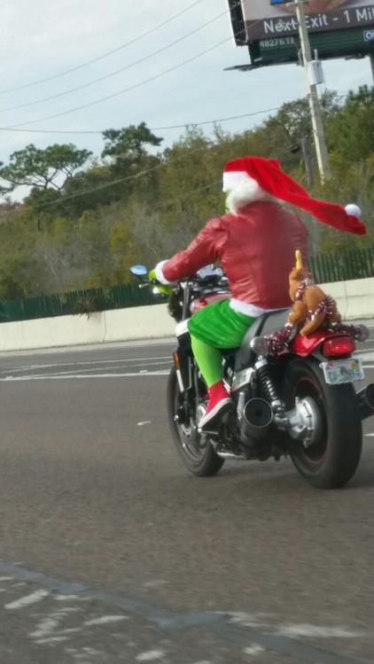 beyondhighh:thepattywagon:I saw the Grinch on the highway today on his way to ruin ChristmasAyyeeee 