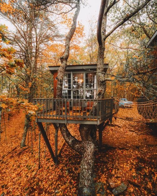 lovefall: wild-cabins: Huck