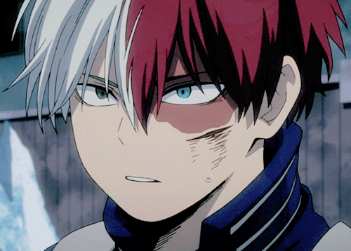 Todoroki Appreciation Post 