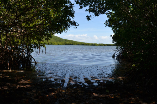 Cabezas de San Juan Nature Reserve, Fajardo, Puerto Rico.