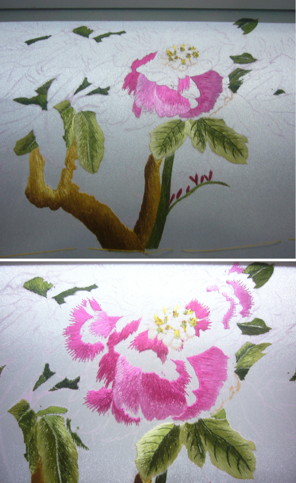 Les Pivoines Et Les Hirondelles