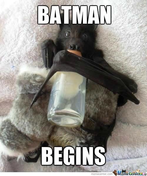 October 24th-30th Is National Bat Week!