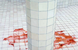 20aliens:  Adriana Varejão