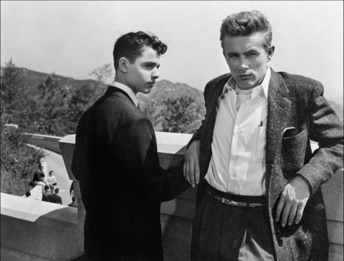 the-original-it-girl:The character of Plato in Rebel Without A Cause (1955) was supposed to be subtly but definitely und