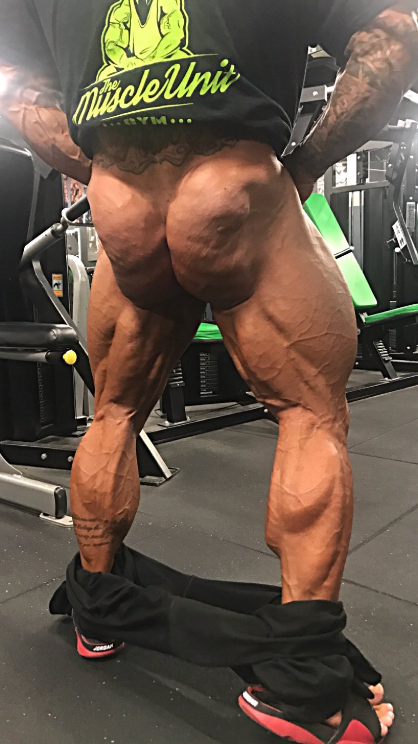 Rob Taylor